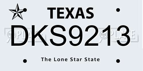 DKS9213 Texas License Plate