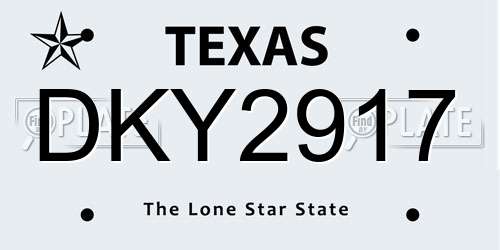 DKY2917 Texas License Plate