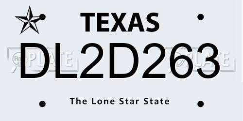 DL2D263 Texas License Plate