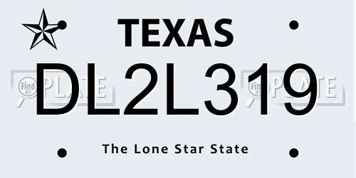 DL2L319 Texas License Plate