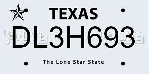 DL3H693 Texas License Plate