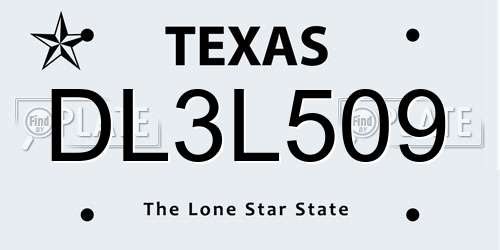 DL3L509 Texas License Plate