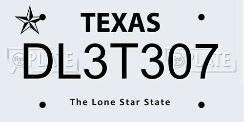 DL3T307 Texas License Plate