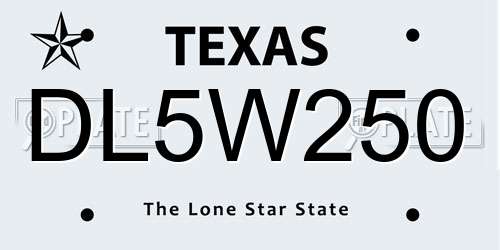 DL5W250 Texas License Plate