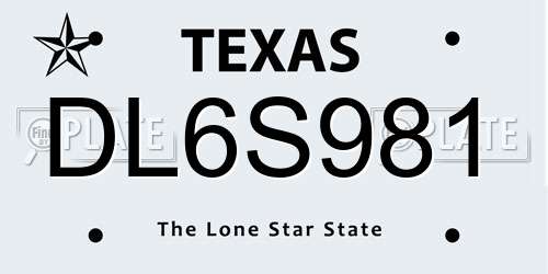 DL6S981 Texas License Plate