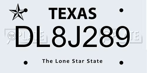 DL8J289 Texas License Plate