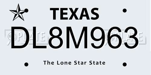 DL8M963 Texas License Plate