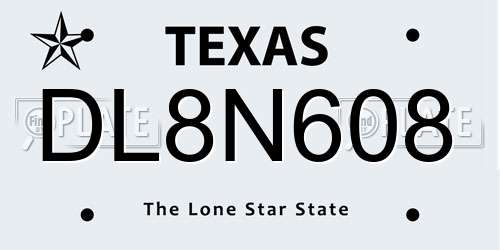 DL8N608 Texas License Plate