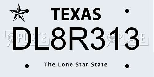 DL8R313 Texas License Plate