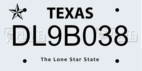 DL9B038 Texas License Plate