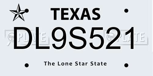 DL9S521 Texas License Plate