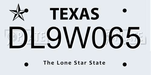 DL9W065 Texas License Plate