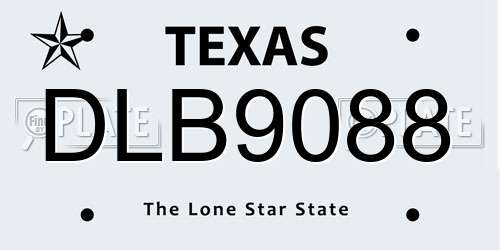 DLB9088 Texas License Plate