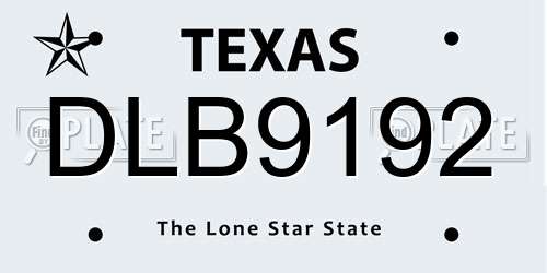 DLB9192 Texas License Plate
