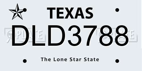 DLD3788 Texas License Plate