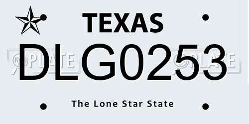 DLG0253 Texas License Plate