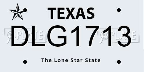 DLG1713 Texas License Plate
