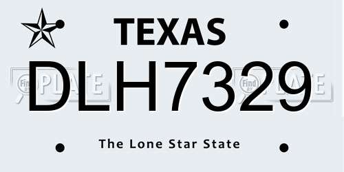 DLH7329 Texas License Plate