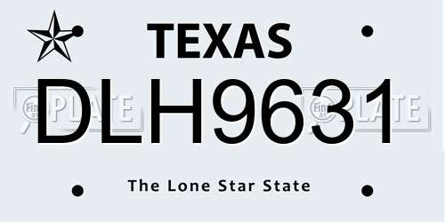 DLH9631 Texas License Plate