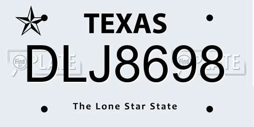 DLJ8698 Texas License Plate