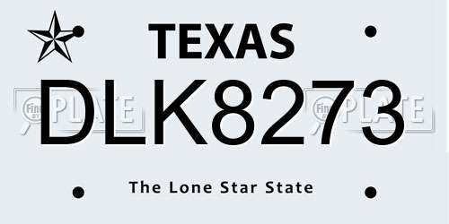 DLK8273 Texas License Plate