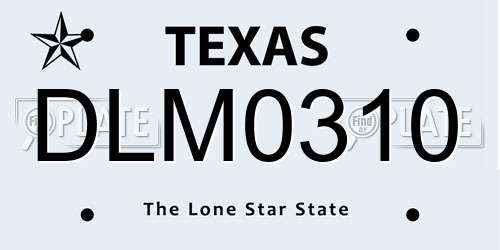 DLM0310 Texas License Plate