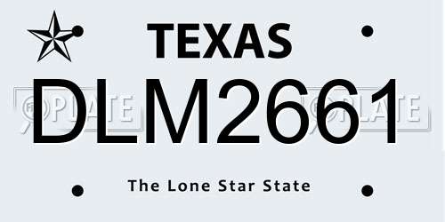 DLM2661 Texas License Plate