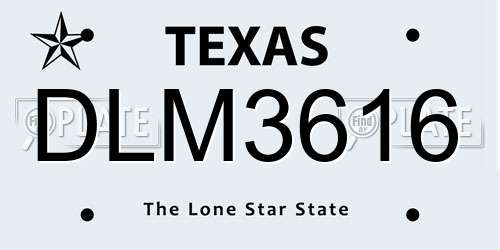 DLM3616 Texas License Plate