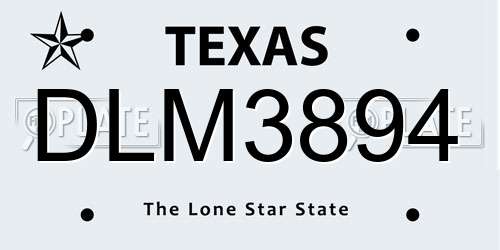 DLM3894 Texas License Plate