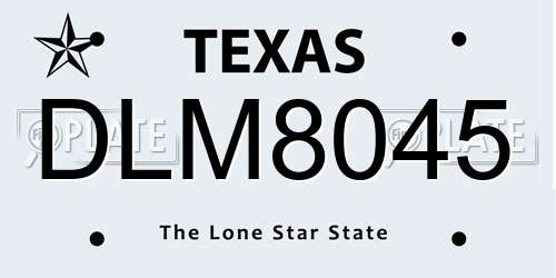 DLM8045 Texas License Plate