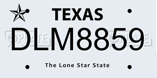 DLM8859 Texas License Plate