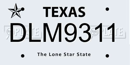 DLM9311 Texas License Plate