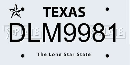 DLM9981 Texas License Plate