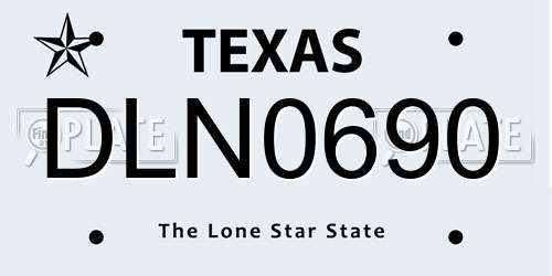 DLN0690 Texas License Plate