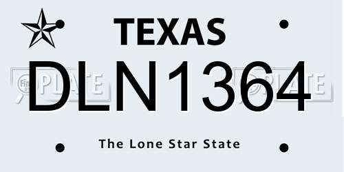 DLN1364 Texas License Plate