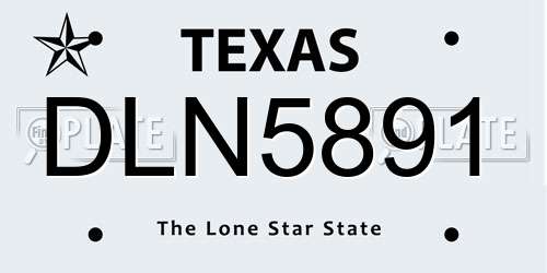 DLN5891 Texas License Plate