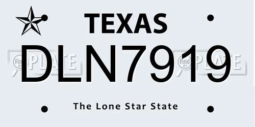 DLN7919 Texas License Plate