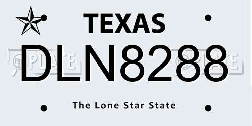 DLN8288 Texas License Plate
