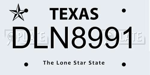 DLN8991 Texas License Plate