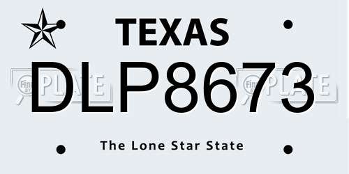 DLP8673 Texas License Plate