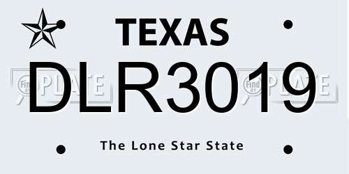 DLR3019 Texas License Plate