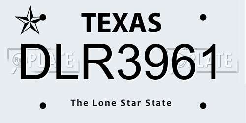 DLR3961 Texas License Plate
