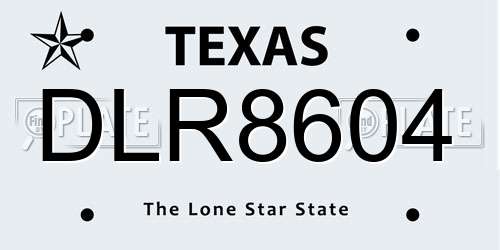 DLR8604 Texas License Plate