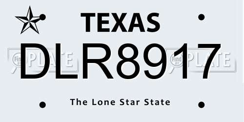 DLR8917 Texas License Plate