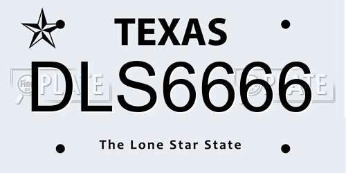 DLS6666 Texas License Plate