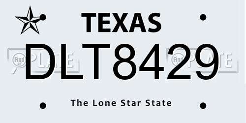 DLT8429 Texas License Plate