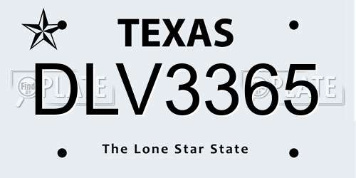 DLV3365 Texas License Plate