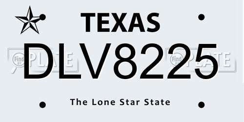 DLV8225 Texas License Plate