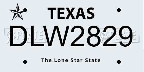 DLW2829 Texas License Plate