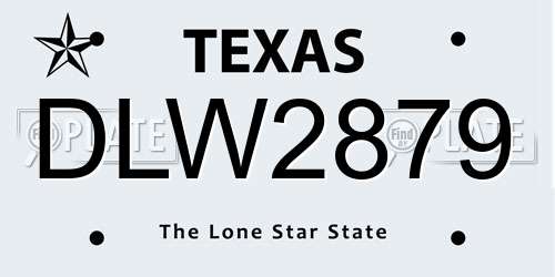 DLW2879 Texas License Plate